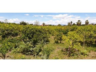 Chalet en venta en Beniaján en Murcia