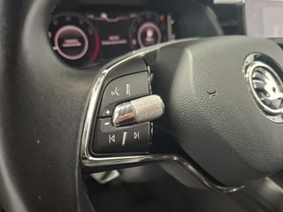 Skoda Kamiq 1.0 TSI 81kW (110CV) Ambition