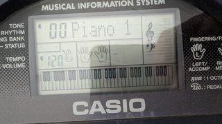 Teclado Casio CTK-495