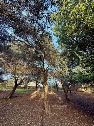 Casa rural en venta en Alcolea en Córdoba