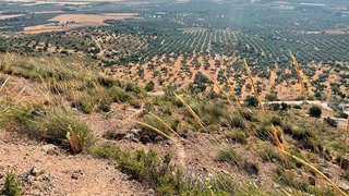 Solar en venta en Bobadilla - Bobadilla Estación - La Joya en Antequera
