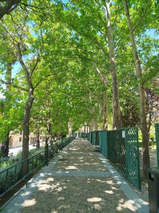 Terreno en venta en Griñón