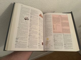 Diccionarios ilustrados de la lengua español