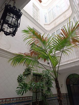 Piso en venta en Centro Histórico - Plaza España en Cádiz