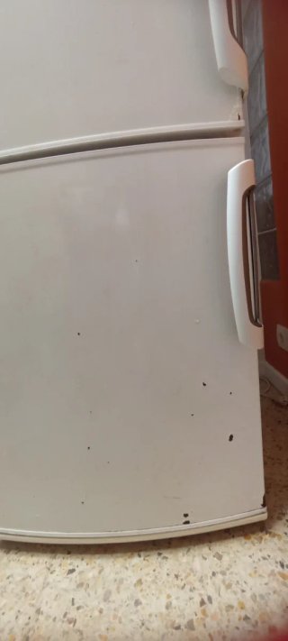 Nevera Combi No frost Electrolux