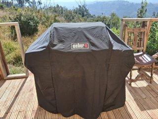 Barbacoa de gas gris y plateada Weber