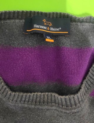 Jersey Harmont & Blaine Rayas Morado Gris
