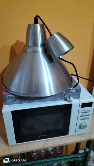 Microondas Ansonic con Soporte Caribe