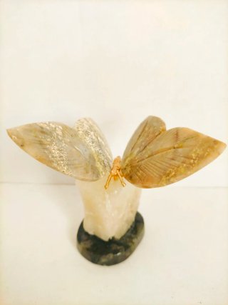 Mariposa de Serpentina Verde