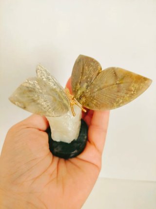 Mariposa de Serpentina Verde