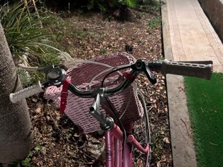 Bicicleta BH Bintag Rosa con Cesta
