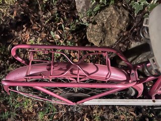 Bicicleta BH Bintag Rosa con Cesta