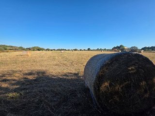 Solar en venta en Campos
