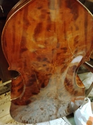Contrabajo 3/4 Suzuki