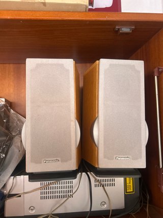 Altavoces Panasonic Beige y Marrón