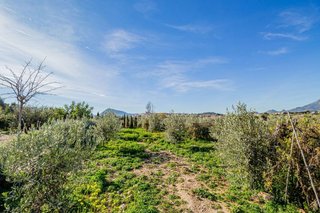 Terreno en venta en Zona l'Olla en Altea
