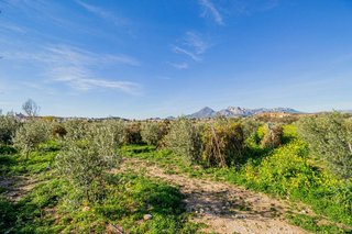 Terreno en venta en Zona l'Olla en Altea