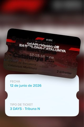 Gorra y Camiseta Fernando Alonso MSC Entradas F1