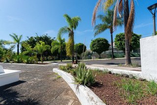 Local comercial en alquiler en Zona Botánico en Puerto de la Cruz