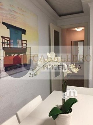 Piso en alquiler en Centro en Murcia