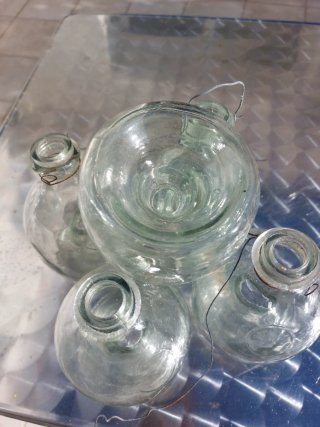 Bottiglie a mosca di vetro (5 unità)
