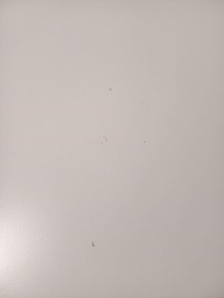 Escritorio Torald Ikea Blanco