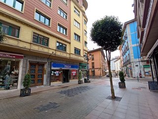 Local comercial en alquiler en Santo Domingo en Oviedo