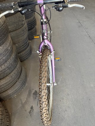 Bicicleta de Montaña Giant Morada No trasporte