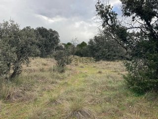Terreno en venta en Collado Mediano