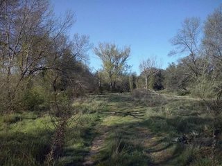 Terreno en venta en Collado Mediano