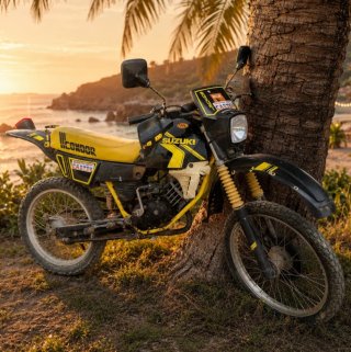 Suzuki Condor Enduro Manual