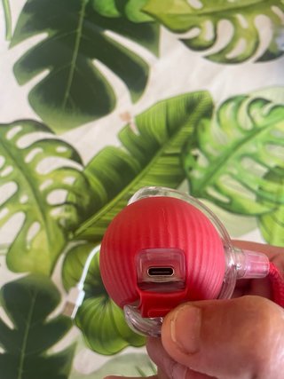 Pelota interactiva para mascotas
