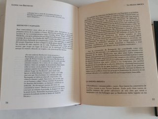 Grandes Biografías:  Beethoven y Cervantes.