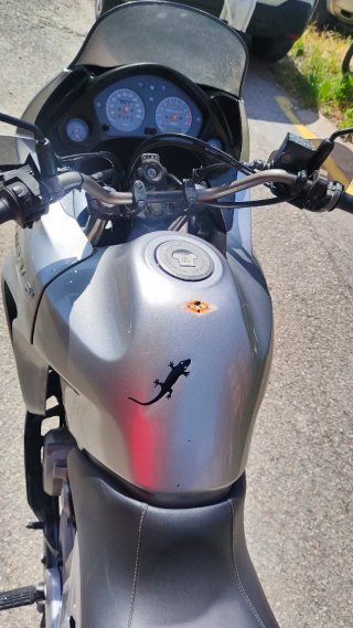 Vendo honda transalp 650 del año 2006 € 1500
