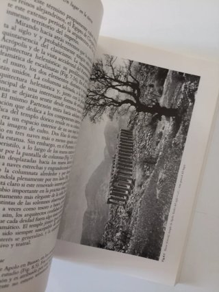 Historia de la Arquitectura 1. lugar en la tierra