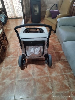Carro para perro