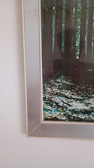 Quadro foresta con raggi di luce