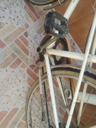 Bicicleta Paloma Exclusive
