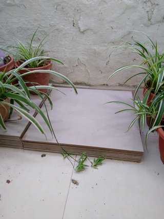 Losetas Gris Perla 50x50 (40 uds)