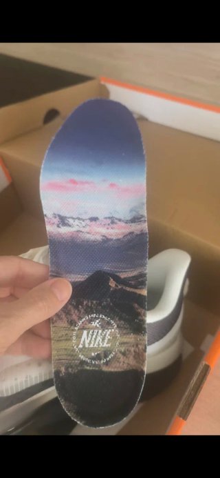 Nike Pegasus Premium Zapatillas Running Hombre