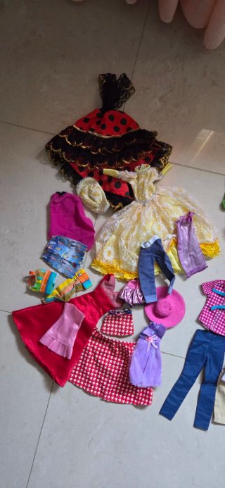 Lotto Barbie con accessori