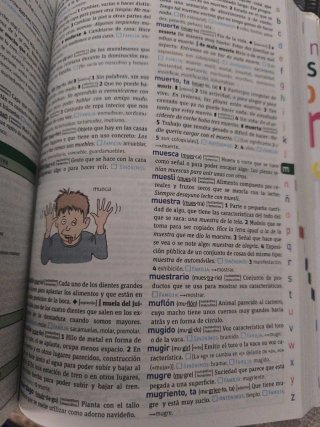 Diccionario básico de la lengua Española primaria