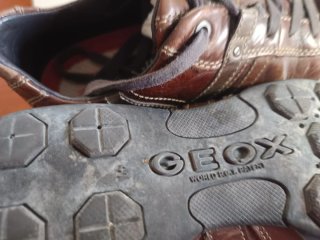 Zapatos Geox Marrones Hombre