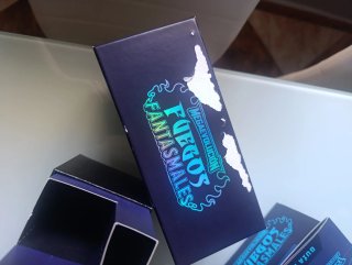 Caja Entrenador Élite Pokémon Fuego Fantasmal