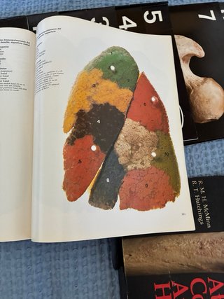 Atlas a color de anatomia