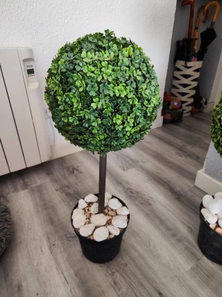 Planta decorativa esférica verde