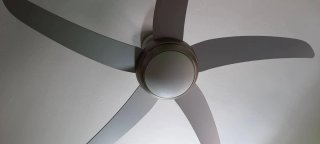 Tulipa de cristal para ventilador