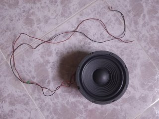 Altavoz Visaton W 170 8 Ohm