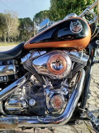 Harley Davidson Dyna Super Glide Custom