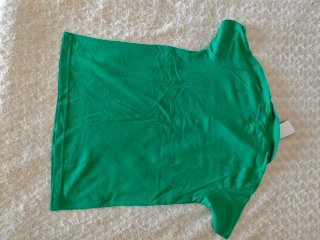 Polo Gant Verde